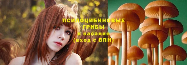прущий лед Алексеевка